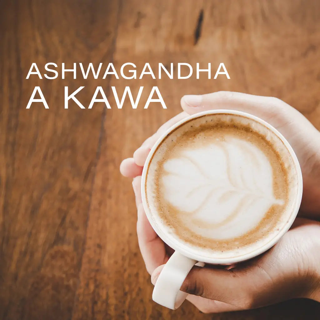 Ashwagandha a kawa – czy można łączyć ashwagandhę z kofeiną